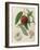 Nectarine: Neals Early Purple-William Hooker-Framed Giclee Print