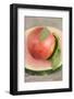 Nectarine with Leaves on Slice of Watermelon-Foodcollection-Framed Photographic Print