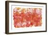 Nectarine-Summer Tali Hilty-Framed Giclee Print