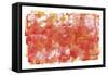 Nectarine-Summer Tali Hilty-Framed Stretched Canvas