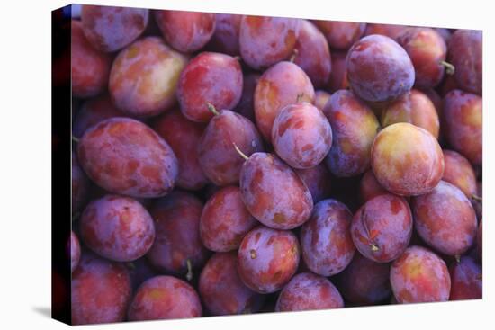 Nectarines at Local Open Air Market in Caldas Da Rainha, Portugal-Mallorie Ostrowitz-Stretched Canvas