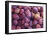 Nectarines at Local Open Air Market in Caldas Da Rainha, Portugal-Mallorie Ostrowitz-Framed Photographic Print