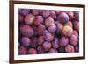 Nectarines at Local Open Air Market in Caldas Da Rainha, Portugal-Mallorie Ostrowitz-Framed Photographic Print