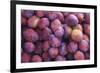 Nectarines at Local Open Air Market in Caldas Da Rainha, Portugal-Mallorie Ostrowitz-Framed Photographic Print