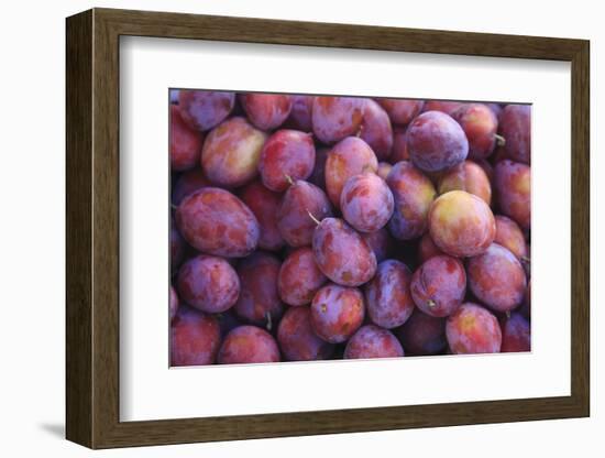 Nectarines at Local Open Air Market in Caldas Da Rainha, Portugal-Mallorie Ostrowitz-Framed Photographic Print