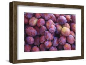 Nectarines at Local Open Air Market in Caldas Da Rainha, Portugal-Mallorie Ostrowitz-Framed Photographic Print