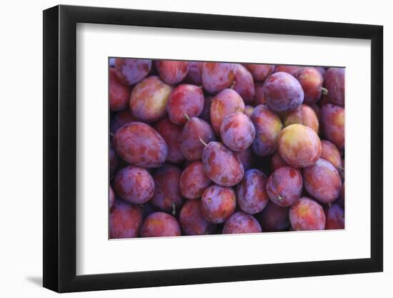 Nectarines at Local Open Air Market in Caldas Da Rainha, Portugal-Mallorie Ostrowitz-Framed Photographic Print