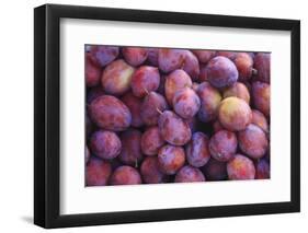 Nectarines at Local Open Air Market in Caldas Da Rainha, Portugal-Mallorie Ostrowitz-Framed Photographic Print