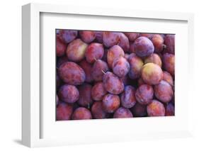 Nectarines at Local Open Air Market in Caldas Da Rainha, Portugal-Mallorie Ostrowitz-Framed Photographic Print