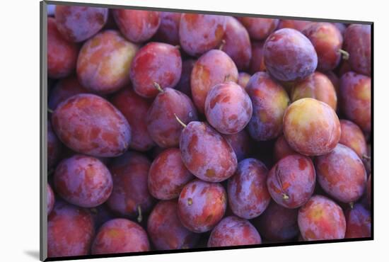 Nectarines at Local Open Air Market in Caldas Da Rainha, Portugal-Mallorie Ostrowitz-Mounted Photographic Print