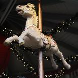 Carousel Horse-Ned Frisk Photography-Photographic Print