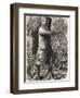 Ned Kelly Australian Legend Makes His Last Stand-null-Framed Photographic Print