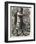 Ned Kelly Australian Legend Makes His Last Stand-null-Framed Photographic Print