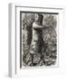 Ned Kelly Australian Legend Makes His Last Stand-null-Framed Photographic Print