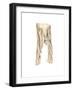 Ned's Stripy Pyjama Bottoms, 2003-Miles Thistlethwaite-Framed Giclee Print