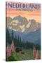 Nederland, Colorado - Bears and Spring Flowers-Lantern Press-Stretched Canvas