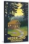 Nederland, Colorado - Cabin Scene-Lantern Press-Stretched Canvas