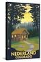 Nederland, Colorado - Cabin Scene-Lantern Press-Stretched Canvas