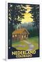 Nederland, Colorado - Cabin Scene-Lantern Press-Framed Art Print