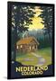 Nederland, Colorado - Cabin Scene-Lantern Press-Framed Art Print