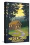 Nederland, Colorado - Cabin Scene-Lantern Press-Stretched Canvas