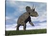 Nedoceratops Dinosaur Grazing in Grassy Field-null-Stretched Canvas