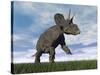 Nedoceratops Dinosaur Grazing in Grassy Field-null-Stretched Canvas