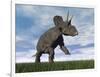 Nedoceratops Dinosaur Grazing in Grassy Field-null-Framed Art Print