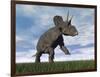 Nedoceratops Dinosaur Grazing in Grassy Field-null-Framed Art Print