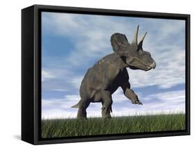 Nedoceratops Dinosaur Grazing in Grassy Field-null-Framed Stretched Canvas