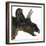 Nedoceratops Portrait-Stocktrek Images-Framed Art Print