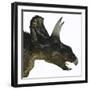 Nedoceratops Portrait-Stocktrek Images-Framed Art Print