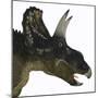 Nedoceratops Portrait-Stocktrek Images-Mounted Art Print