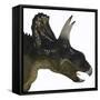 Nedoceratops Portrait-Stocktrek Images-Framed Stretched Canvas