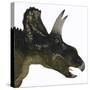 Nedoceratops Portrait-Stocktrek Images-Stretched Canvas