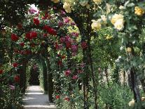 Petit Manoir from Gardens, Chateau De Versailles, Unesco World Heritage Site, Ile De France, France-Nedra Westwater-Photographic Print