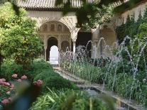 Moorish Architecture of the Court of the Lions, the Alhambra, Granada, Andalucia (Andalusia), Spain-Nedra Westwater-Photographic Print