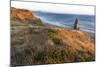 Needle Rock at Cape Blanco State Park, Oregon, USA-Chuck Haney-Mounted Photographic Print