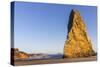 Needle Rock at Cape Blanco State Park, Oregon, USA-Chuck Haney-Stretched Canvas