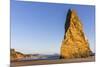 Needle Rock at Cape Blanco State Park, Oregon, USA-Chuck Haney-Mounted Photographic Print