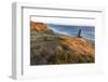 Needle Rock at Cape Blanco State Park, Oregon, USA-Chuck Haney-Framed Photographic Print