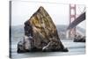 Needle Rock-Lance Kuehne-Stretched Canvas
