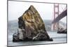 Needle Rock-Lance Kuehne-Mounted Photographic Print