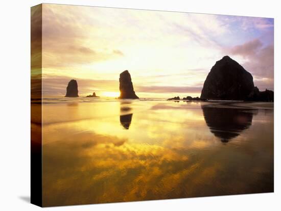Needles and Haystack at Sunset, Cannon Beach, Oregon, USA-Darrell Gulin-Stretched Canvas