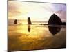 Needles and Haystack at Sunset, Cannon Beach, Oregon, USA-Darrell Gulin-Mounted Photographic Print