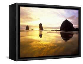 Needles and Haystack at Sunset, Cannon Beach, Oregon, USA-Darrell Gulin-Framed Stretched Canvas