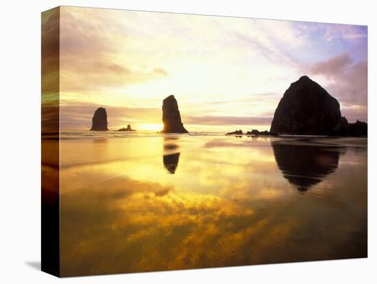 Needles and Haystack at Sunset, Cannon Beach, Oregon, USA-Darrell Gulin-Stretched Canvas