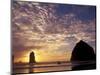 Needles and Haystack Rock, Cannon Beach, Oregon, USA-Darrell Gulin-Mounted Photographic Print