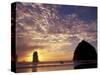 Needles and Haystack Rock, Cannon Beach, Oregon, USA-Darrell Gulin-Stretched Canvas