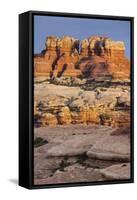 Needles District, Canyonlands National Park, Utah, Usa-Rainer Mirau-Framed Stretched Canvas